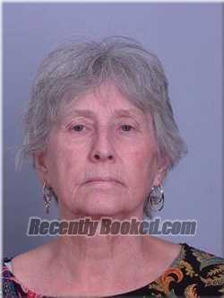 Recent Mugshot Image for Tresa Neis in Sherburne County, Minnesota