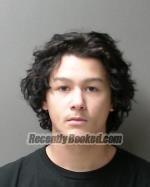 Recent Mugshot Image for Noah Riley Herrington in Sibley County, Minnesota