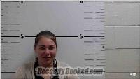 Recent Mugshot Image for SAMANTHA NICOLE HAYDEN in Surry County, North Carolina