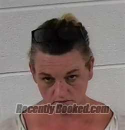 Recent Mugshot Image for APRIL DAWN WAGONER in Surry County, North Carolina