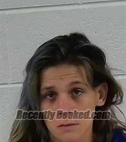 Recent Mugshot Image for TIFFANY LYNN WILMOTH in Surry County, North Carolina