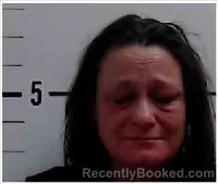 Recent Mugshot Image for TRACY HUNT OAKES in Surry County, North Carolina