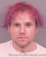 Recent Mugshot Image for Ronald Allen Olson in Winona County, Minnesota