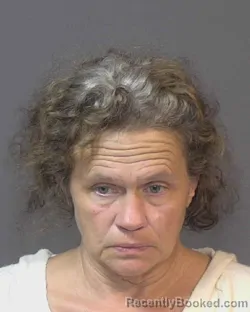 Recent Mugshot Image for ROBIN LYNN ANDERSON in Union County, North Carolina