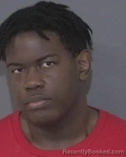 Recent Mugshot Image for ZION HAMOURII A MCDUFFIE in Union County, North Carolina