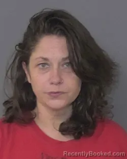 Recent Mugshot Image for LAURA NELL REYNOLDS in Union County, North Carolina