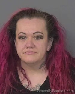 Recent Mugshot Image for TONYA GREEN LOCKLEAR in Union County, North Carolina