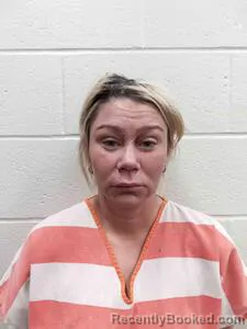 Recent Mugshot Image for Danielle Lida Swiastyn in Andrew County, Missouri