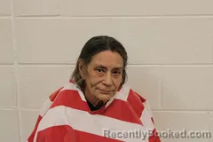 Recent Mugshot Image for Deborah K Bauman in Barry County, Missouri