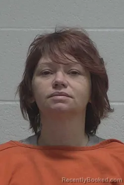 Recent Mugshot Image for BRANDY NICOLE CHESSON in Wayne County, North Carolina