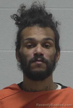 Recent Mugshot Image for DUSTYN DARNELL SELLARS in Wayne County, North Carolina