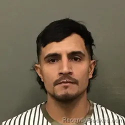 Recent Mugshot Image for EDWIN FERNANDO POSSO-ROJAS in Wilkes County, North Carolina
