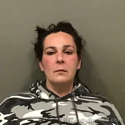 Recent Mugshot Image for ANGELA BETH BYERS in Wilkes County, North Carolina
