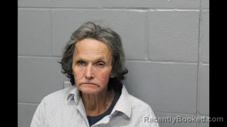 Recent Mugshot Image for DAVID WAYNE WIDEL in Cooper County, Missouri