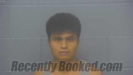 Recent Mugshot Image for NELSON LEONARDO GUITZ-TIUL in Greene County, Missouri