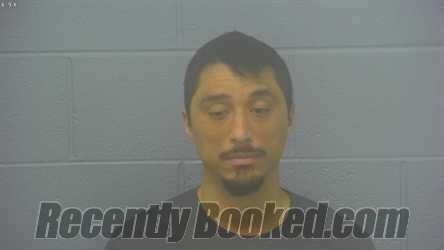 Recent Mugshot Image for TERRY JUN BRONSON in Greene County, Missouri