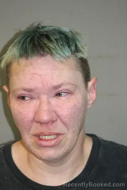 Recent Mugshot Image for CANDA B SMITH in Grundy County, Missouri