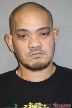 Recent Mugshot Image for TEVITA FISILAU in Grundy County, Missouri