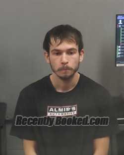 Recent Mugshot Image for ARMANI HIDIC TIKVESA in Jefferson County, Missouri