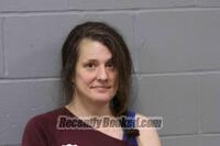 Recent Mugshot Image for AMBER NICOLE ADAMS in Johnson County, Missouri