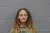 Recent Mugshot Image for NICOLE ROSE PERRY in Johnson County, Missouri