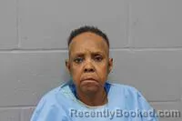 Recent Mugshot Image for DEMMIA MARIE NELSON in Johnson County, Missouri