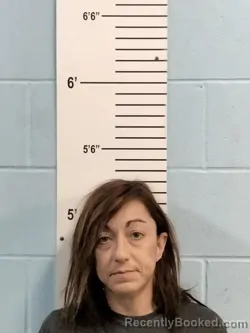Recent Mugshot Image for JOHANNA MAURINE PARNELL in Lincoln County, Missouri