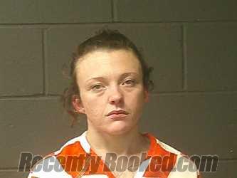 Recent Mugshot Image for Bobbie Ray Story in McDonald County, Missouri