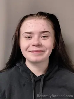 Recent Mugshot Image for LEEANN DENISE HERRING in Perry County, Missouri