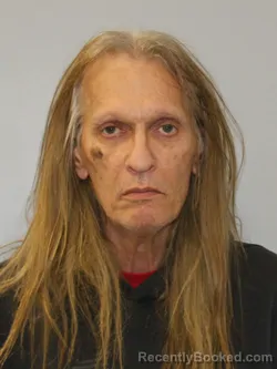 Recent Mugshot Image for JAMES LEE WALLACE in Phelps County, Missouri