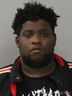 Recent Mugshot Image for ROBERT MITCHELL NEWELL in Phelps County, Missouri