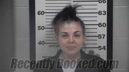 Recent Mugshot Image for BROOKELYNN NICOLE PETTIT in Platte County, Missouri