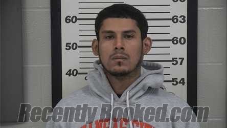 Recent Mugshot Image for LUIS VEGAMOLINA in Platte County, Missouri
