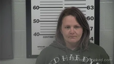 Recent Mugshot Image for SARA C LACY in Platte County, Missouri