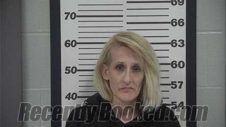 Recent Mugshot Image for SAMANTHA L WALTER in Platte County, Missouri