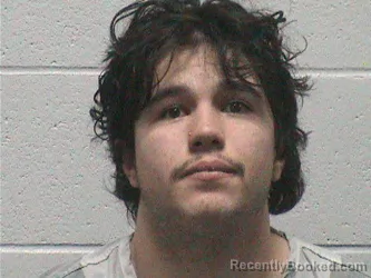 Recent Mugshot Image for JULIAN DOUGLAS MCINTYRE in Lyon County, Nevada