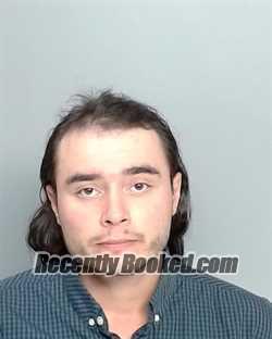 Recent Mugshot Image for DYLAN JUDE LENIHAN in Nye County, Nevada