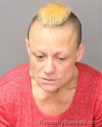Recent Mugshot Image for Katie Milan Mcdonald in Bernalillo County, New Mexico