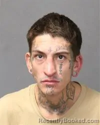 Recent Mugshot Image for Seth Andrew Ritchie in Bernalillo County, New Mexico