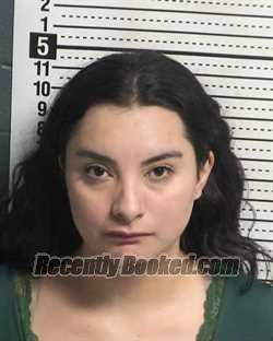 Recent Mugshot Image for DANIELLE CHICITA DOMINGUEZ in Dona Ana County, New Mexico