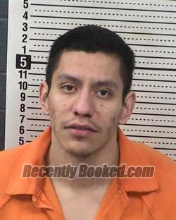 Recent Mugshot Image for ANDRES LINARES in Dona Ana County, New Mexico