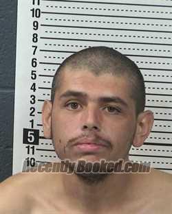 Recent Mugshot Image for FRANCISCO JUAREZ in Dona Ana County, New Mexico