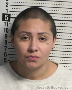 Recent Mugshot Image for IVY ANGELIQUE VELASQUEZ in Dona Ana County, New Mexico