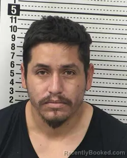 Recent Mugshot Image for JOSE HERMOSILLO-ALANIZ in Dona Ana County, New Mexico