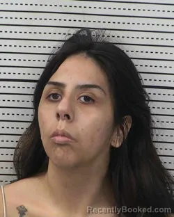 Recent Mugshot Image for YASMINE MARIBEL CASTILLO CARSNER in Dona Ana County, New Mexico