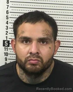 Recent Mugshot Image for MARCELO BEJARANO in Dona Ana County, New Mexico