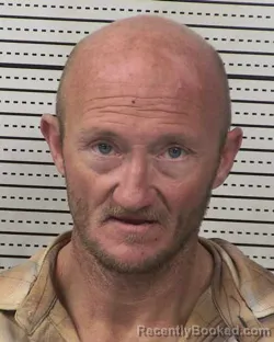 Recent Mugshot Image for MICHAEL JAMES NABOURS in Dona Ana County, New Mexico