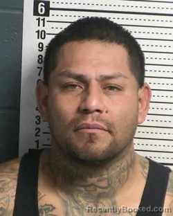 Recent Mugshot Image for ALFONSO HERNANDEZ LEYVA in Dona Ana County, New Mexico