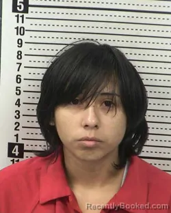 Recent Mugshot Image for ZOIE DICKENS in Dona Ana County, New Mexico