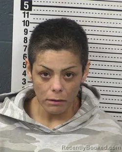Recent Mugshot Image for KARLA CELINA HIDALGO in Dona Ana County, New Mexico